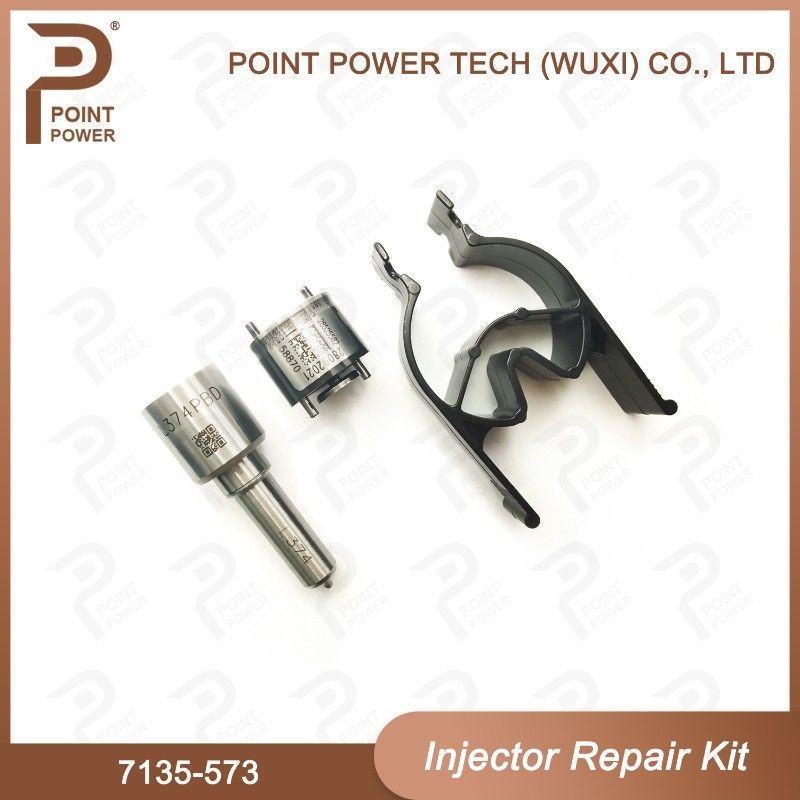 7135-573 Delphi Common Rail Injector Kits para los inyectores comunes 28229873, 33800-4A710 del carril