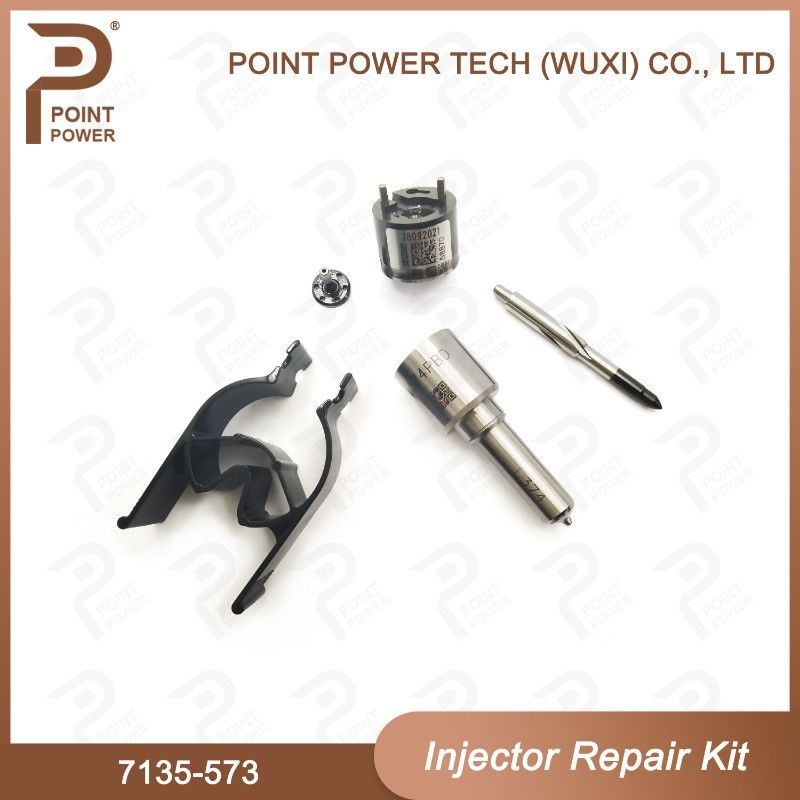 7135-573 Delphi Common Rail Injector Kits para los inyectores comunes 28229873, 33800-4A710 del carril