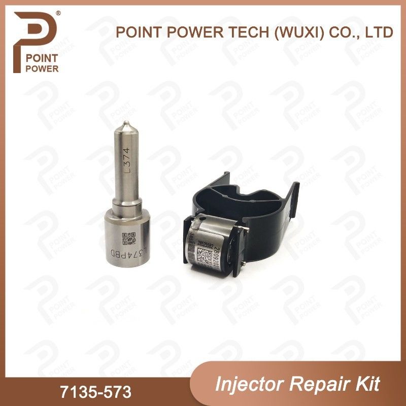 7135-573 Delphi Common Rail Injector Kits para los inyectores comunes 28229873, 33800-4A710 del carril