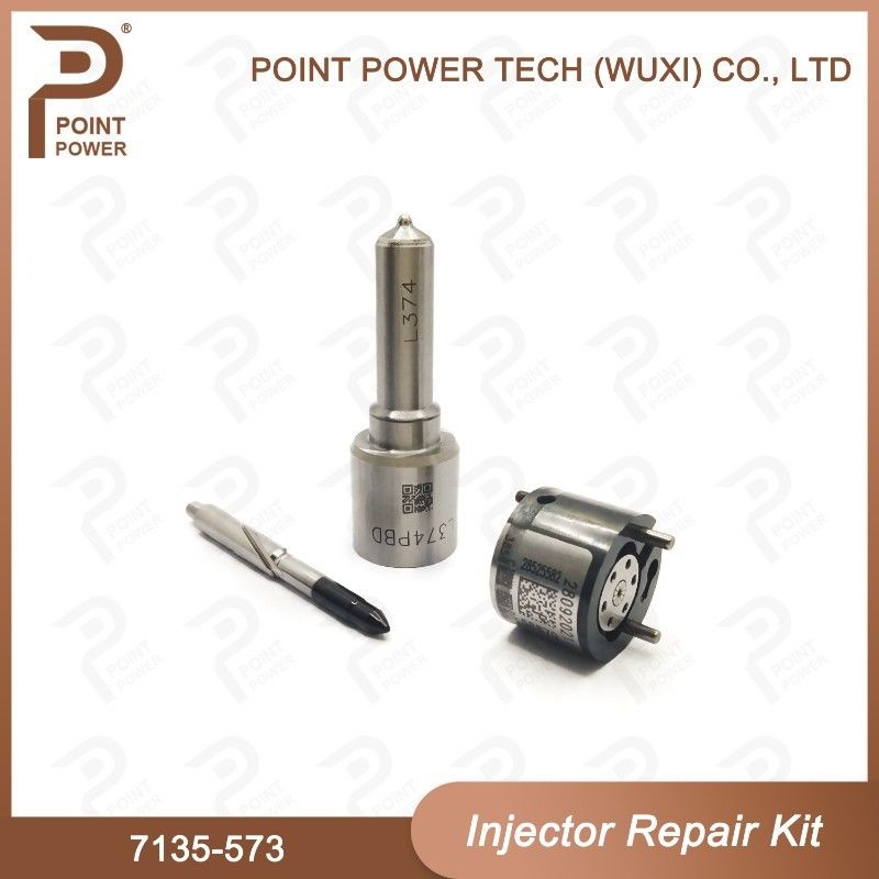 7135-573 Delphi Common Rail Injector Kits para los inyectores comunes 28229873, 33800-4A710 del carril