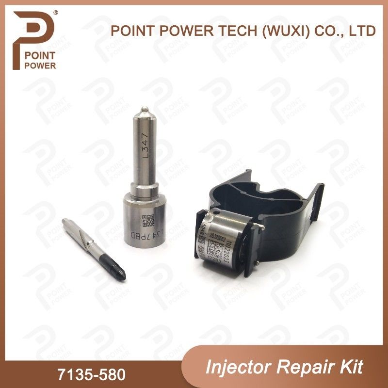 7135-580 inyectores 28342997/R00001D/28307309 de Delphi Injector Repair Kit For