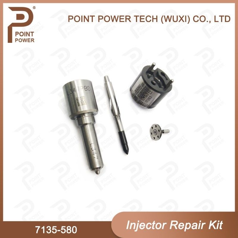 7135-580 inyectores 28342997/R00001D/28307309 de Delphi Injector Repair Kit For