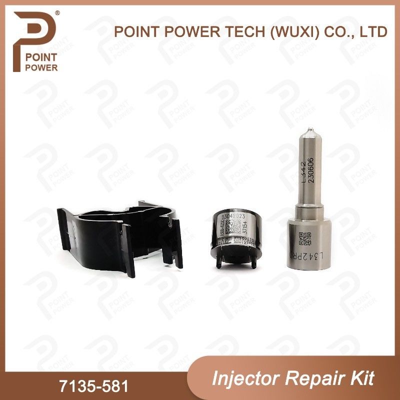 Kit de reparación del inyector de Delphi para R00101D PSA / FORD DW10C
