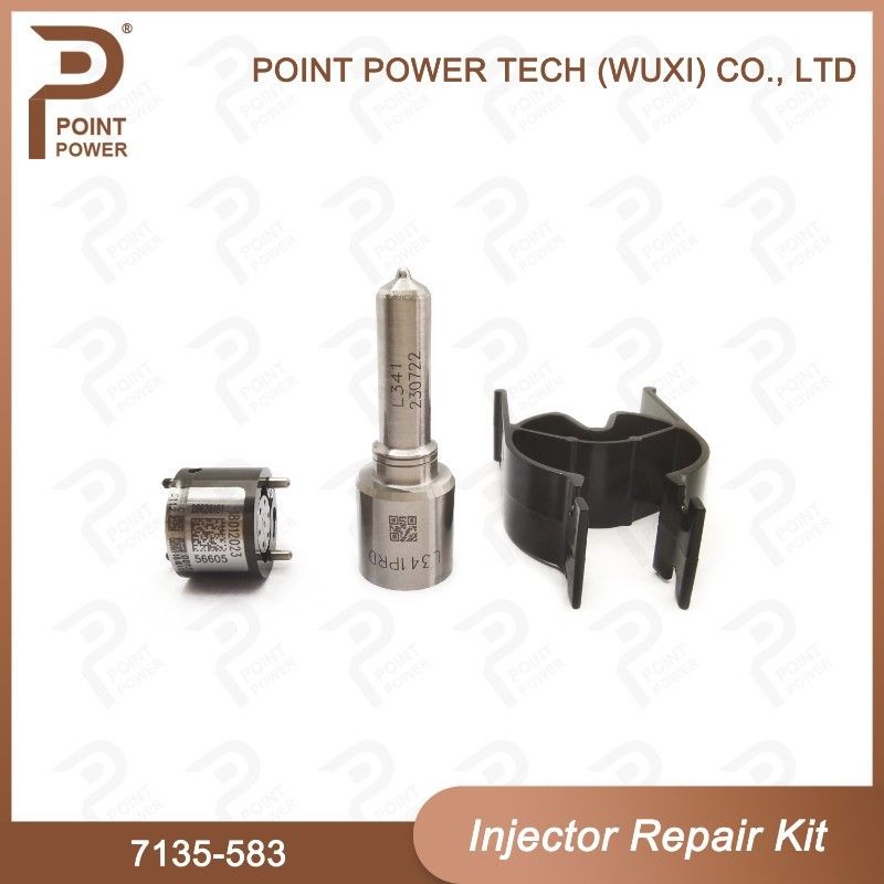 7135-583 Kit de reparación de inyectores Delphi para inyectores R00301D SSANGYONG D20DTF Kit de válvulas de boquilla