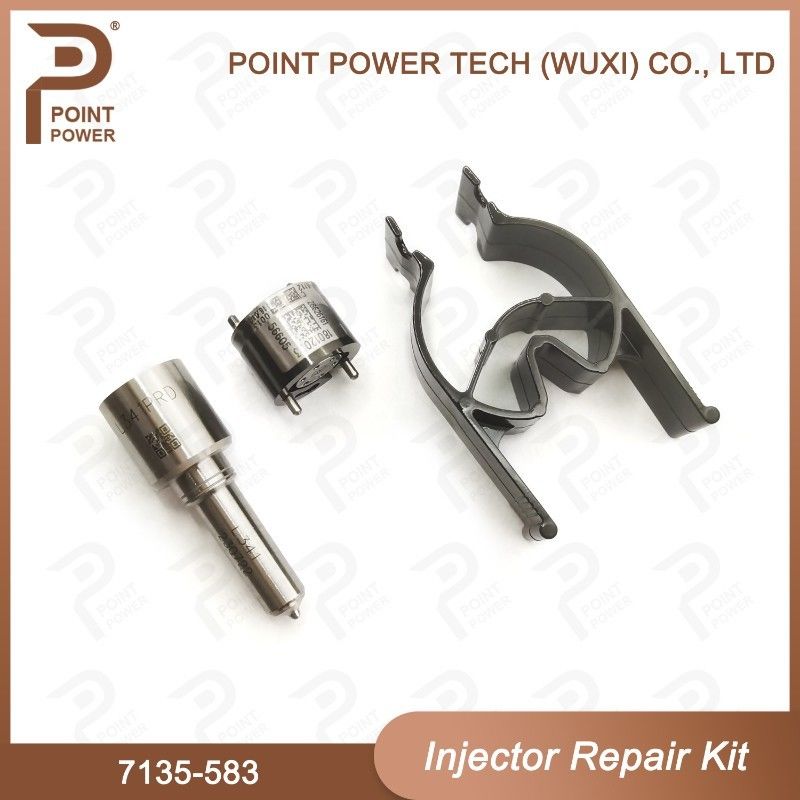 7135-583 Kit de reparación de inyectores Delphi para inyectores R00301D SSANGYONG D20DTF Kit de válvulas de boquilla