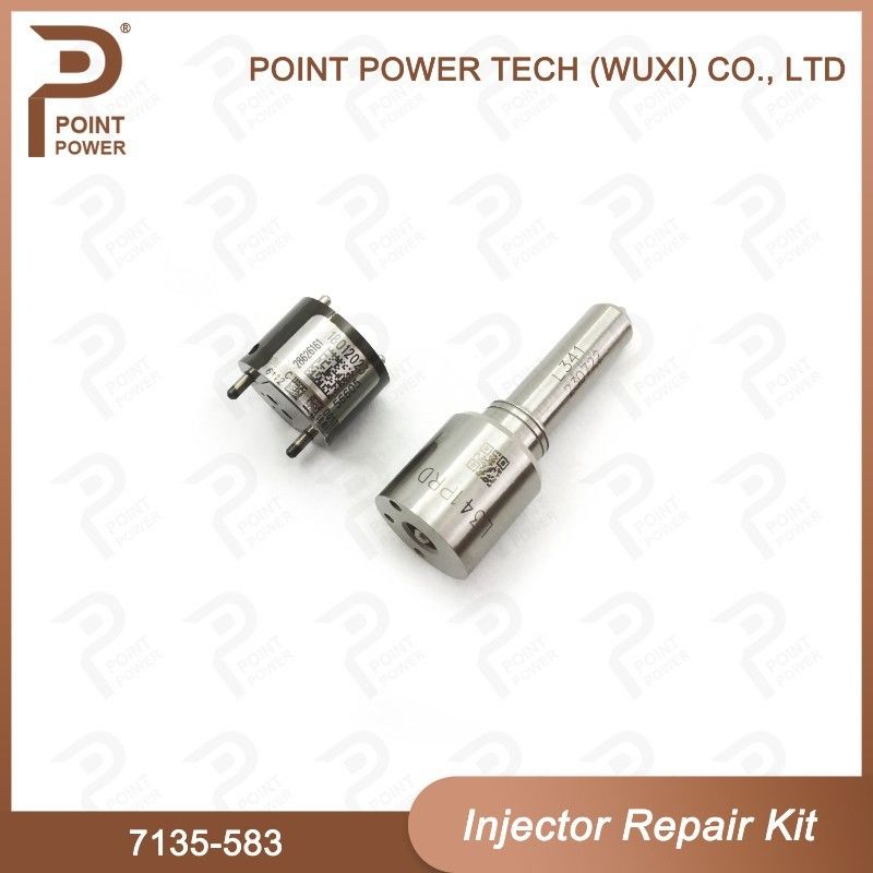 7135-583 Kit de reparación de inyectores Delphi para inyectores R00301D SSANGYONG D20DTF Kit de válvulas de boquilla