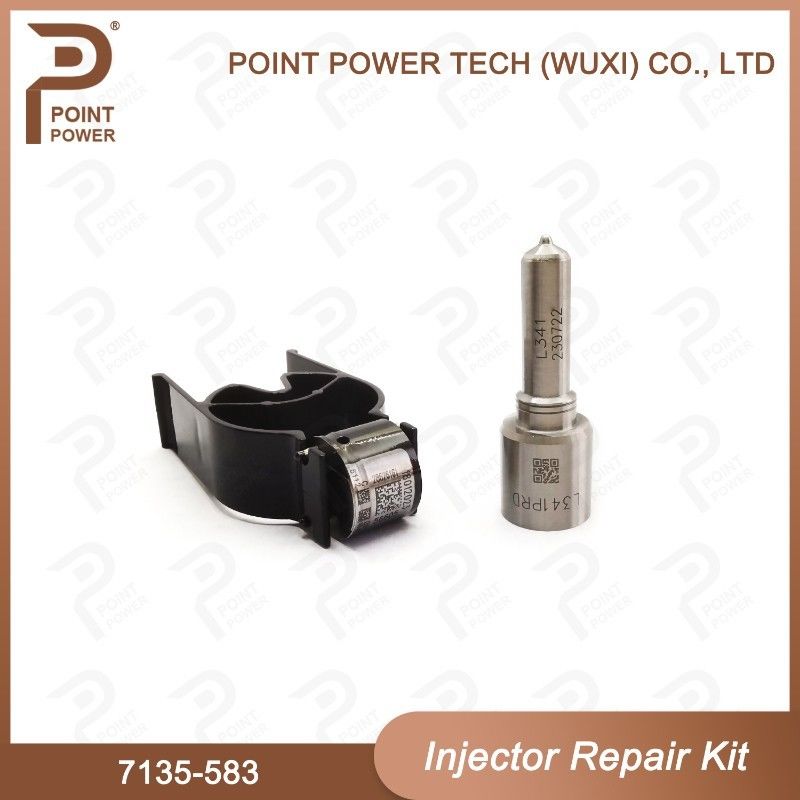 7135-583 Kit de reparación de inyectores Delphi para inyectores R00301D SSANGYONG D20DTF Kit de válvulas de boquilla