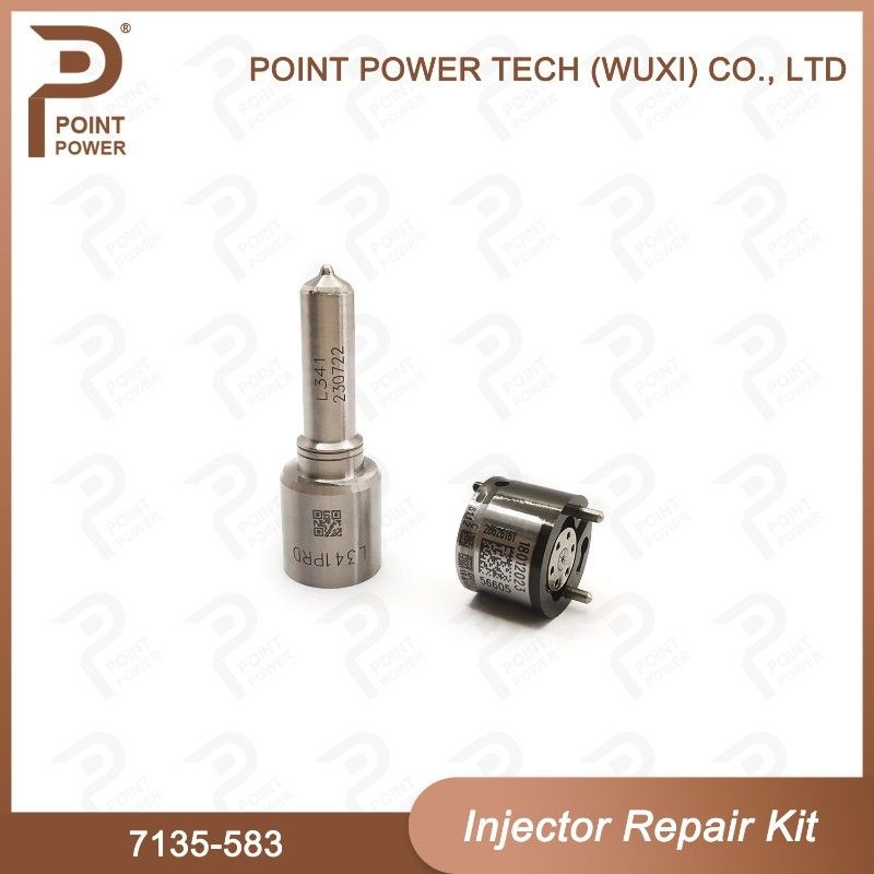 7135-583 Kit de reparación de inyectores Delphi para inyectores R00301D SSANGYONG D20DTF Kit de válvulas de boquilla