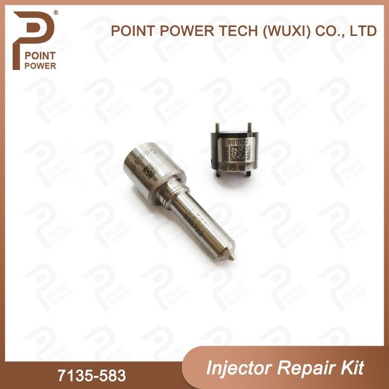 7135-583 Kit de reparación de inyectores Delphi para inyectores R00301D SSANGYONG D20DTF Kit de válvulas de boquilla