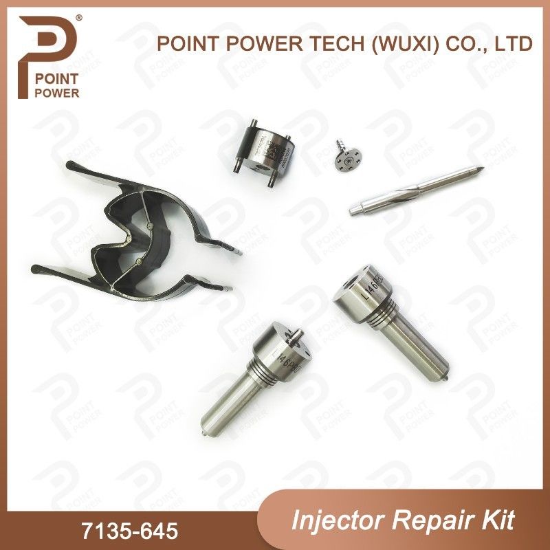 7135-645 Kit de reparación del inyector Delphi para inyectores R05201D Kit de inyección de CVA con boquilla de tren común