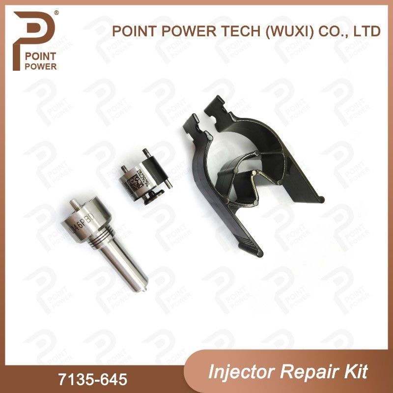 7135-645 Kit de reparación del inyector Delphi para inyectores R05201D Kit de inyección de CVA con boquilla de tren común