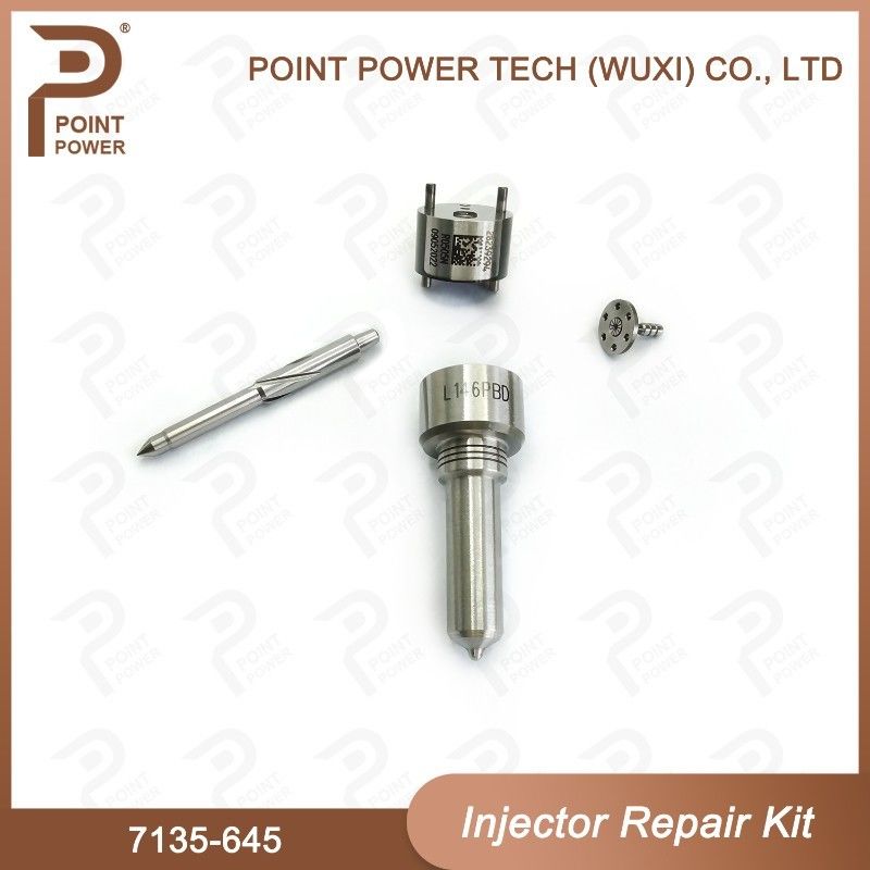 7135-645 Kit de reparación del inyector Delphi para inyectores R05201D Kit de inyección de CVA con boquilla de tren común