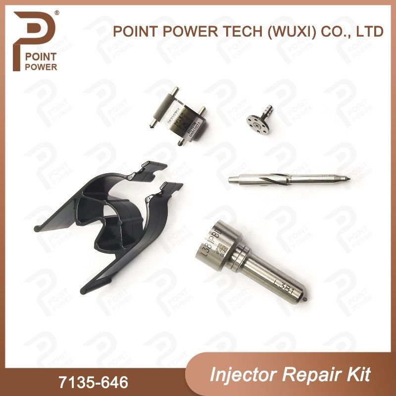 7135-646 Kit de reparación del inyector Delphi para el inyector 28232251/ R03101D/R05102D Kit de válvula de boquilla