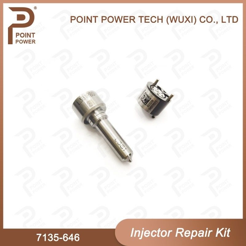 7135-646 Kit de reparación del inyector Delphi para el inyector 28232251/ R03101D/R05102D Kit de válvula de boquilla