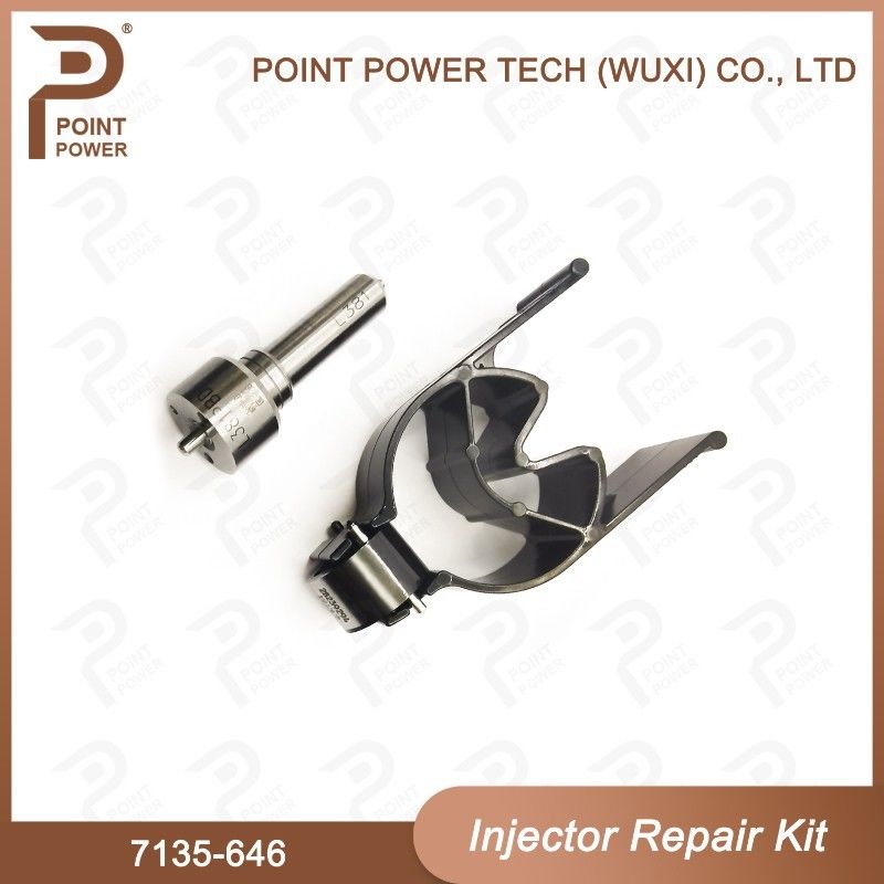 7135-646 Kit de reparación del inyector Delphi para el inyector 28232251/ R03101D/R05102D Kit de válvula de boquilla