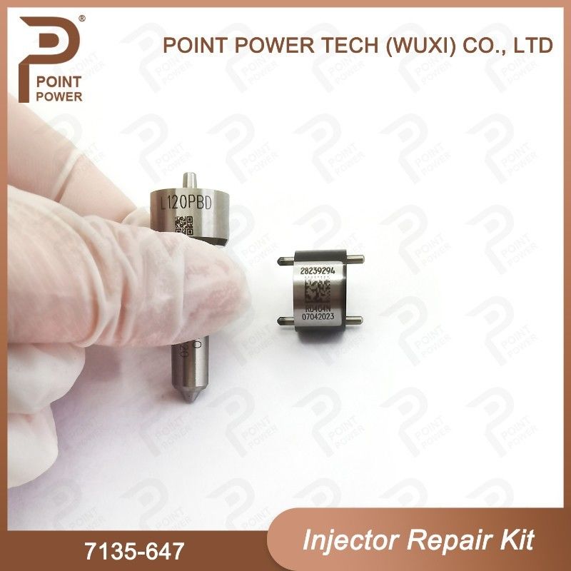 7135-647 Kit de reparación del inyector Delphi para el inyector 28232248 Kit de válvula de boquilla con boquilla L120PBD