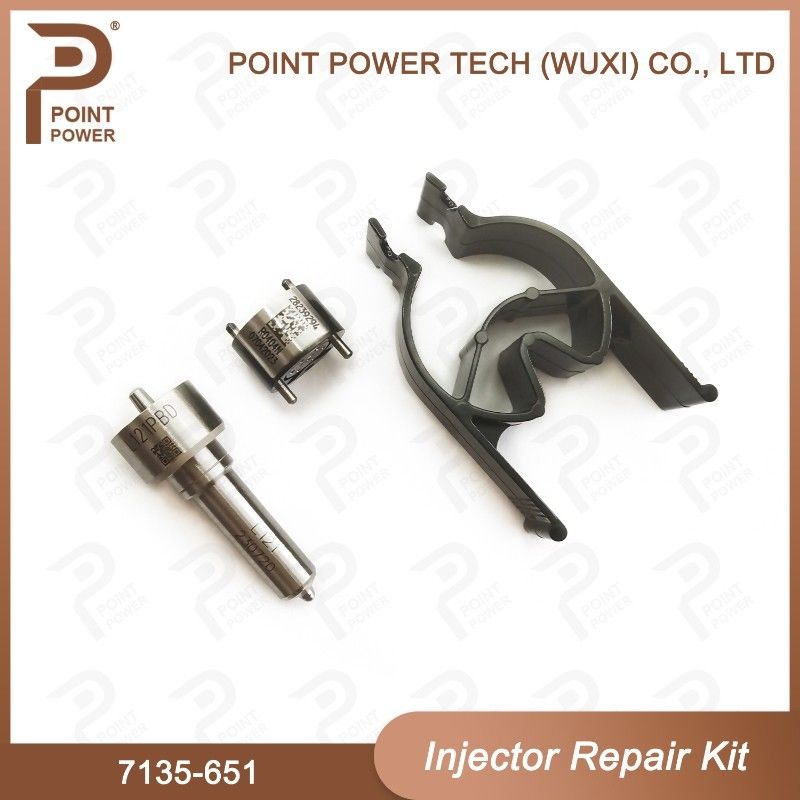 7135-651 Kit de reparación del inyector Delphi para el inyector R02201Z Kit de inyección con boquilla L121PBD