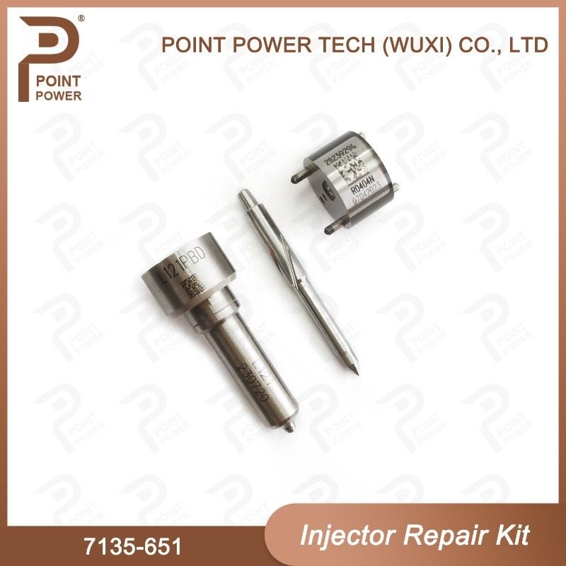7135-651 Kit de reparación del inyector Delphi para el inyector R02201Z Kit de inyección con boquilla L121PBD