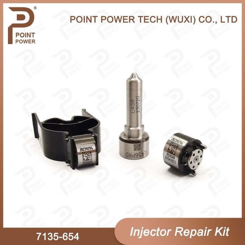 7135-654 Kit de reparación del inyector Delphi para el inyector R00501Z Kit de inyección con boquilla L456PRD