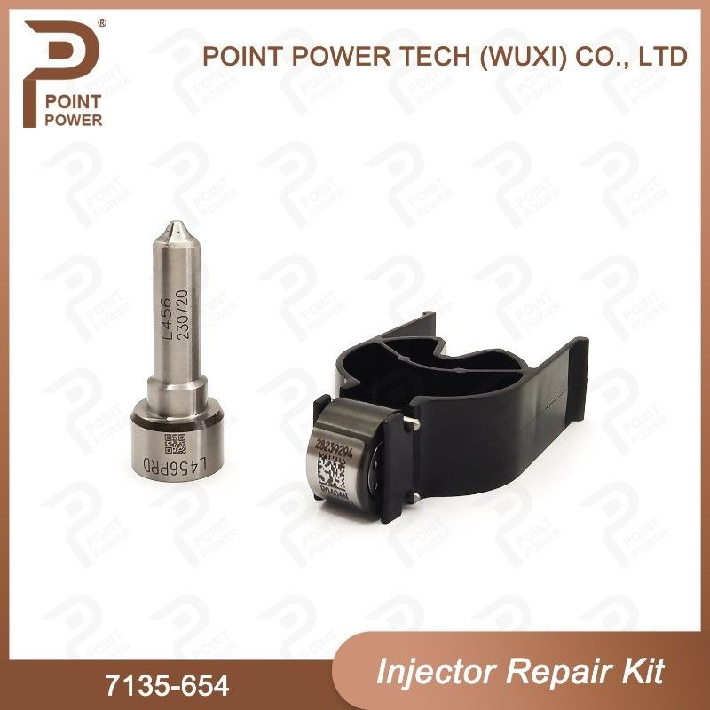 7135-654 Kit de reparación del inyector Delphi para el inyector R00501Z Kit de inyección con boquilla L456PRD