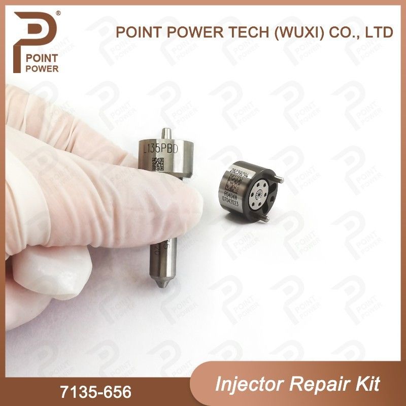 7135-656 Kit de reparación del inyector Delphi para el inyector R00504Z Kit de válvula de boquilla con boquilla L135PBD