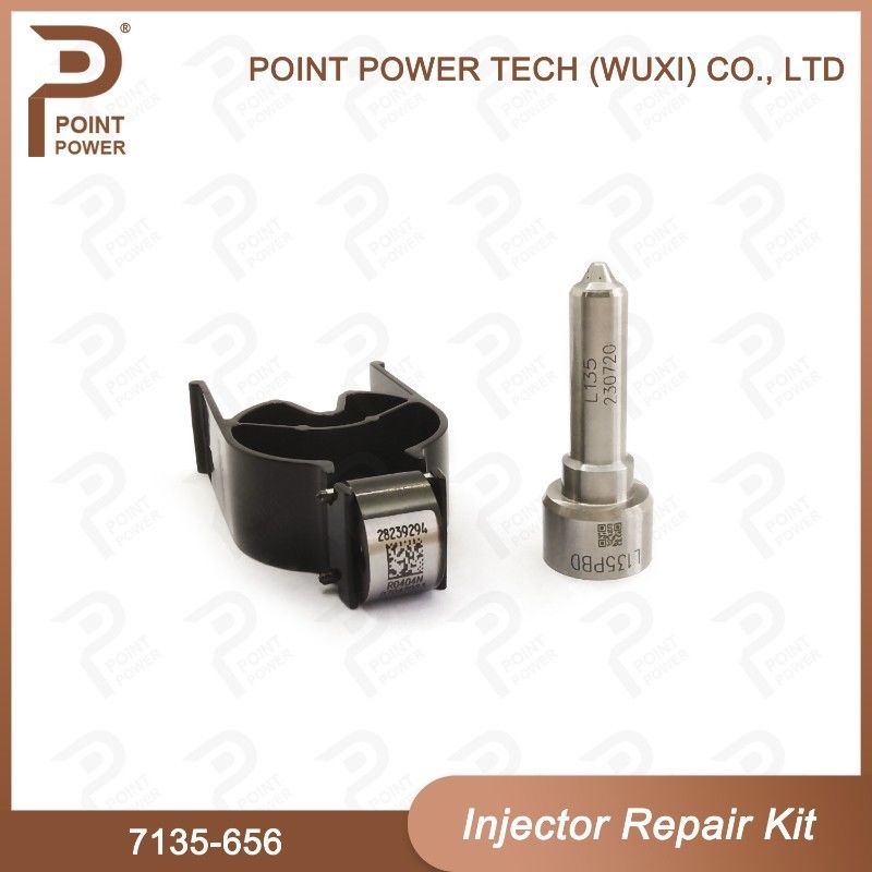 7135-656 Kit de reparación del inyector Delphi para el inyector R00504Z Kit de válvula de boquilla con boquilla L135PBD