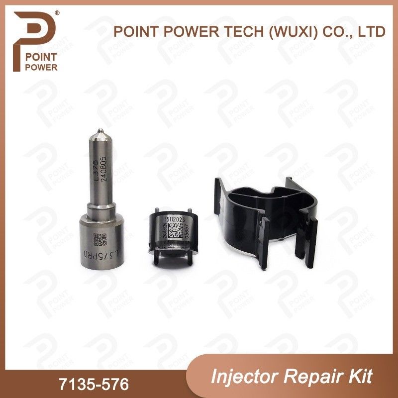 7135-576 Kit de reparación del inyector Delphi para el inyector 28236381 Kit de válvula de boquilla