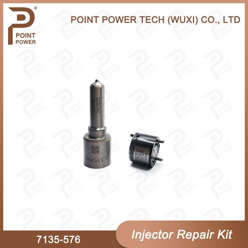 7135-576 Kit de reparación del inyector Delphi para el inyector 28236381 Kit de válvula de boquilla