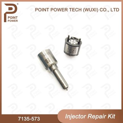 7135-573 Delphi Common Rail Injector Kits para los inyectores comunes 28229873, 33800-4A710 del carril